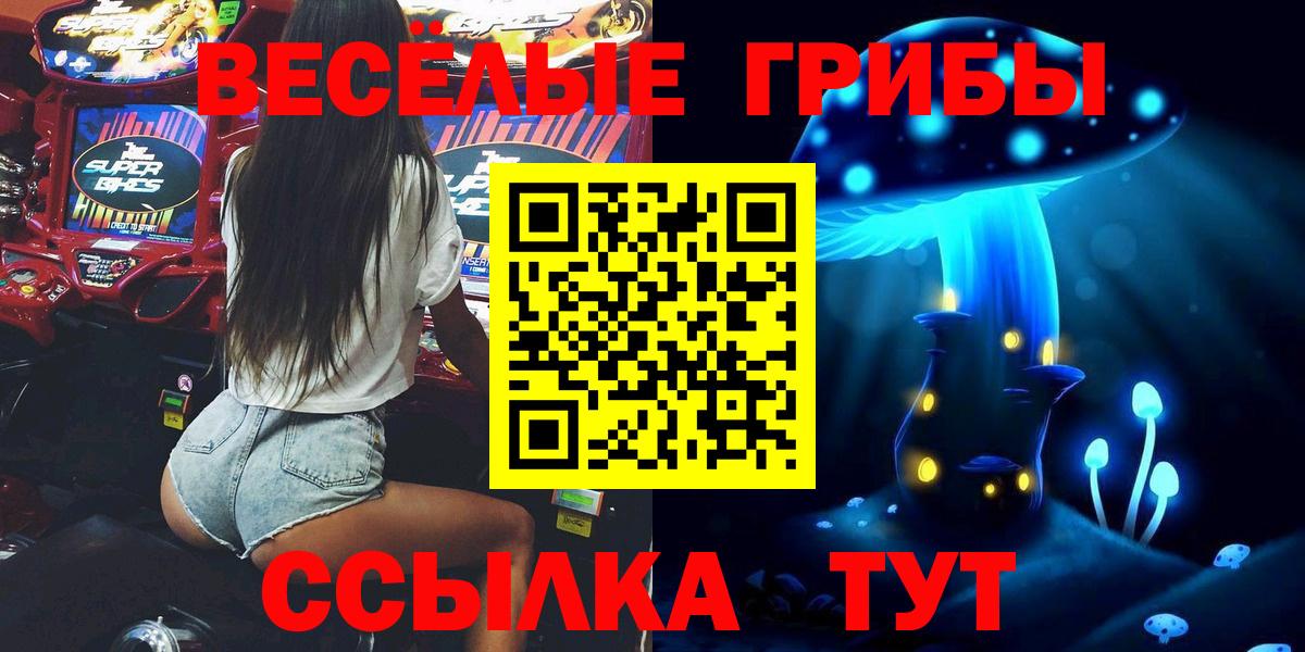 Псилоцибиновые грибы ЛСД Сегежа