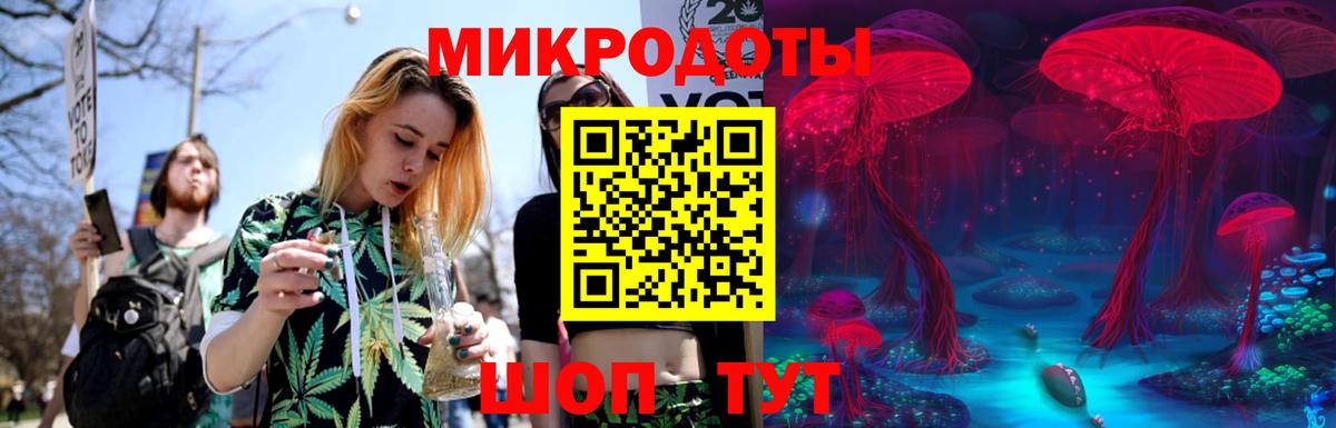 Сегежа  Псилоцибиновые грибы Psilocybe  Вход с VPN 